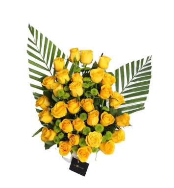 Admire The Beauty of Bright Yellow Roses