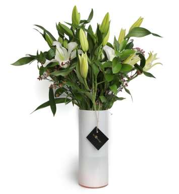 Pink And White Vased Lilies