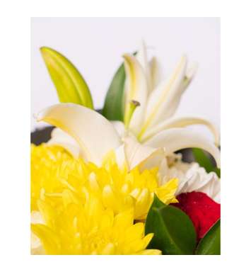 Shunshine Yellow Gerberas & Lily